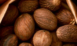 Nutmeg